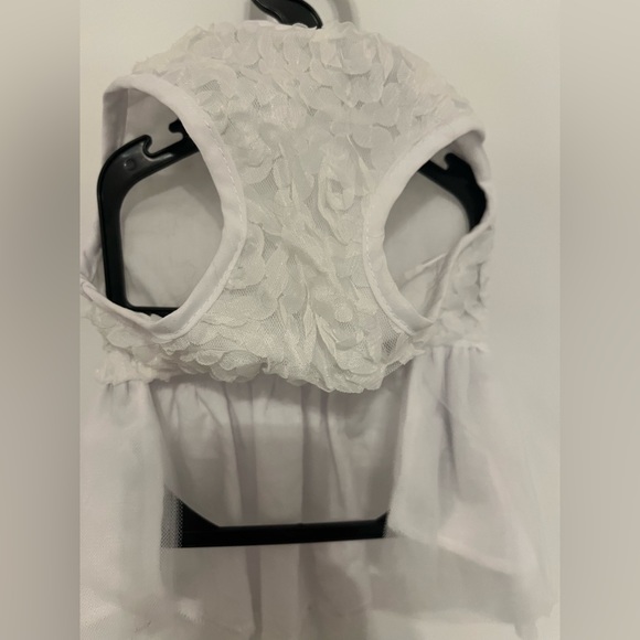 Like New Condition - White Lace Dress for Small Pet - Picture 8 of 8